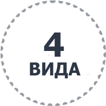 Сибирских хвойных растений можно купить у нас